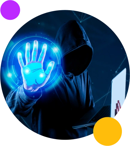 Certified CEH Expert Trainers