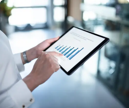 Digital Marketing Professional